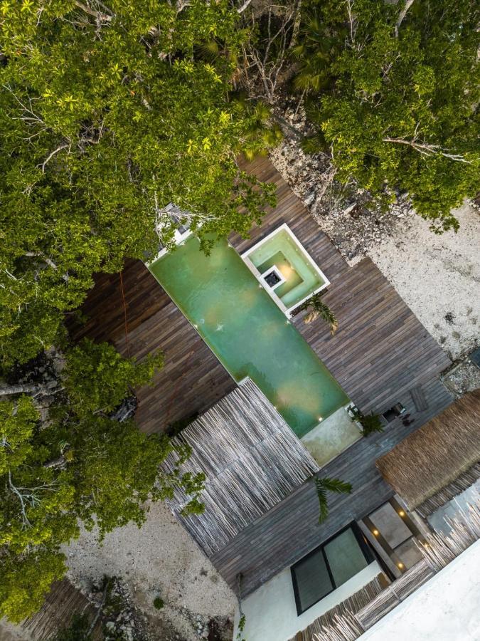 Villa Xuncari En El Corazon De La Selva Tulum Exteriör bild